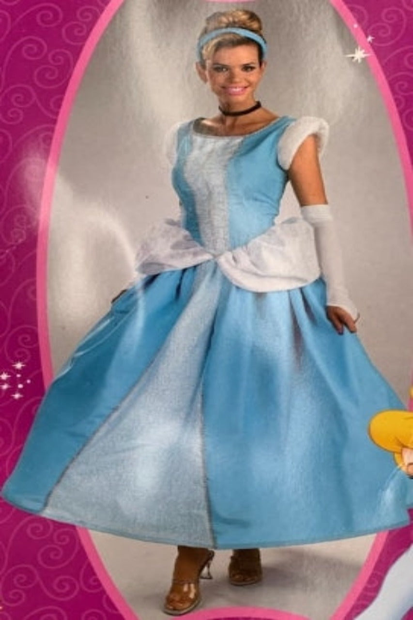 Cinderella Costume – 3wishes.com