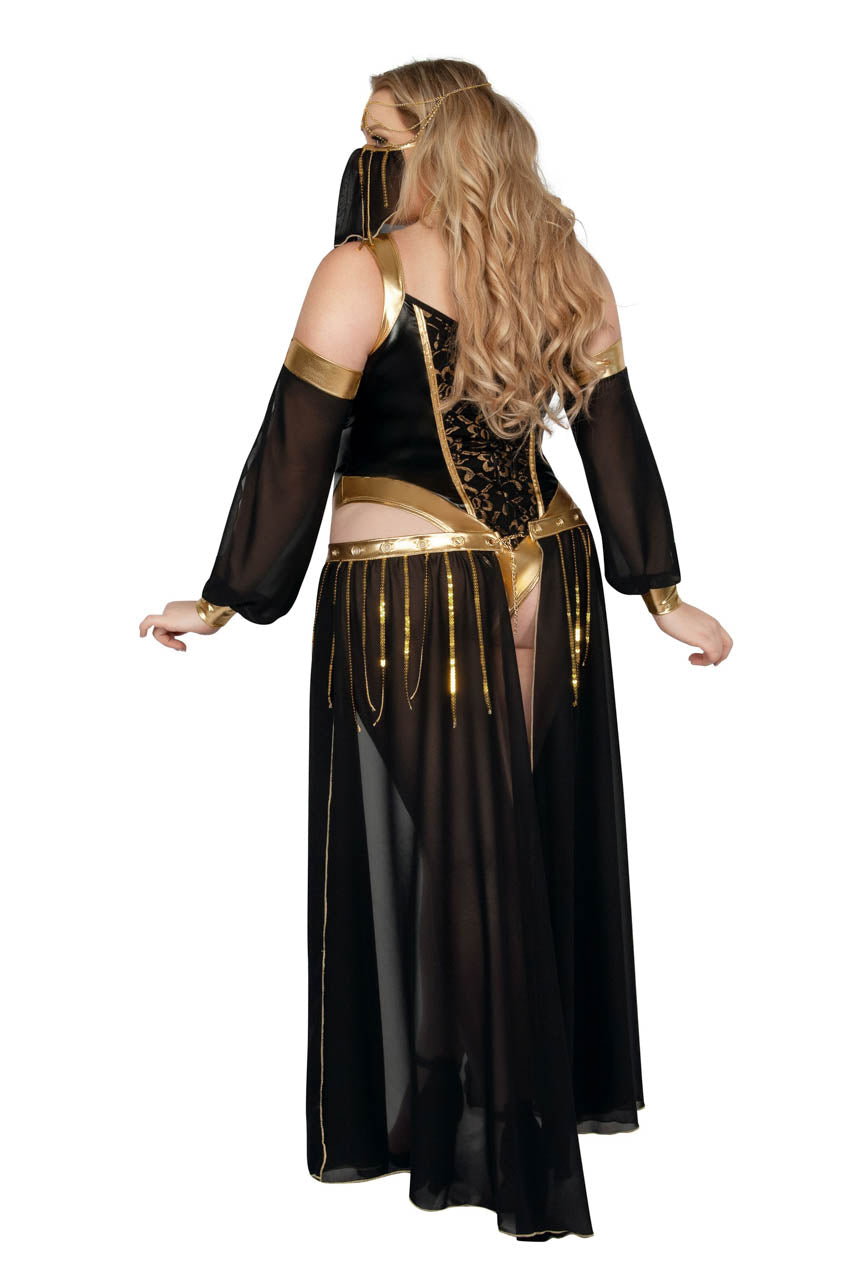 Plus Size Dark Harem Nights Costume, Plus Size Womens Harem Halloween  Costume –