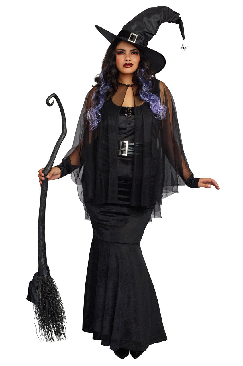 Plus Size Bewitching Beauty Costume, Plus Size Womens Witch Costume ...